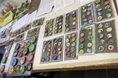 2022-02-23_Albatros_5