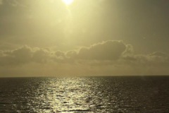 D61ED053-66F9-41CB-8424-83DAAD4A15F3-Kopie-Kopie