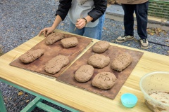 PXL_20251022_023152404