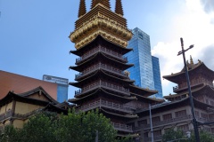 PXL_20251024_004729801