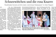 HAZ-Kritik-Kommser